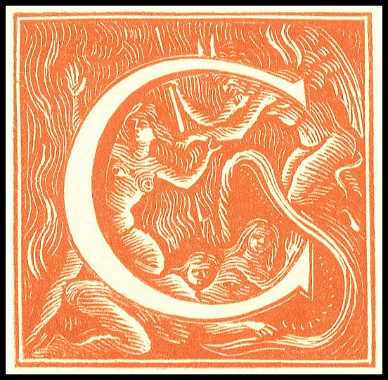 Lot 08495