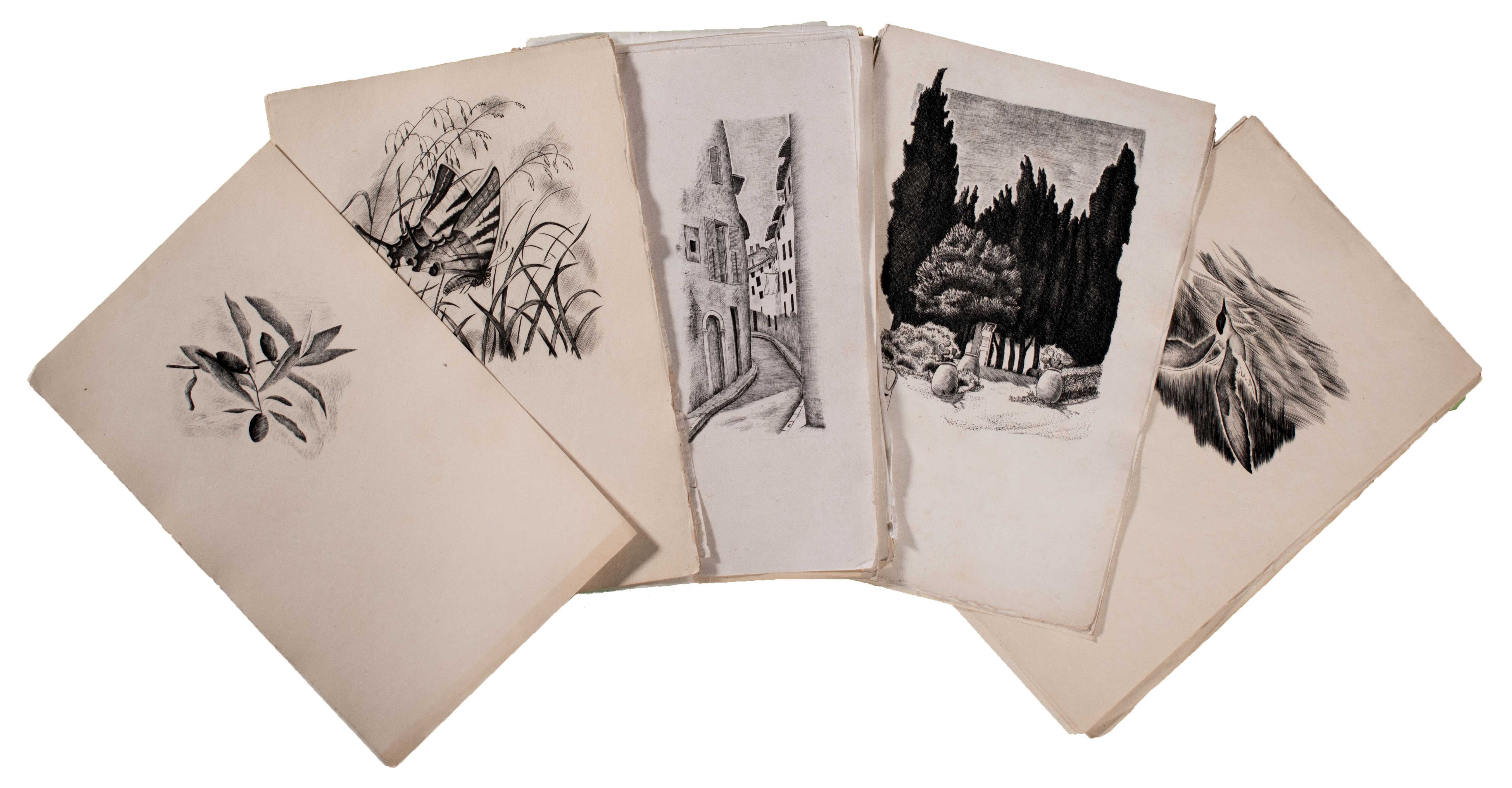 Lot 08521