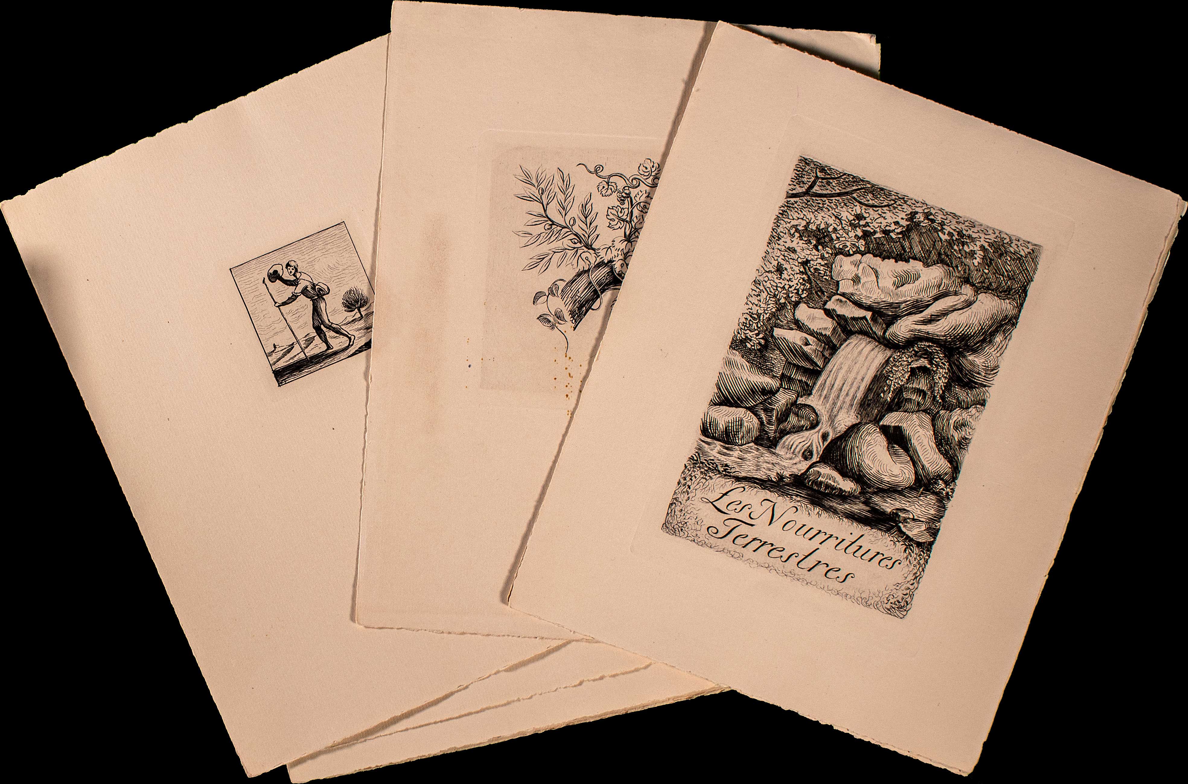 Lot 08494