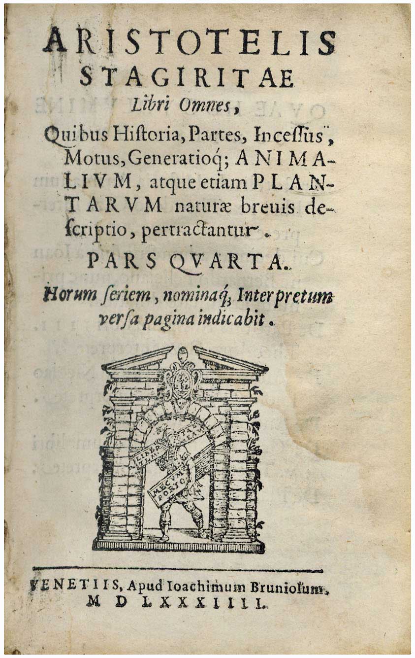 Lot 08071